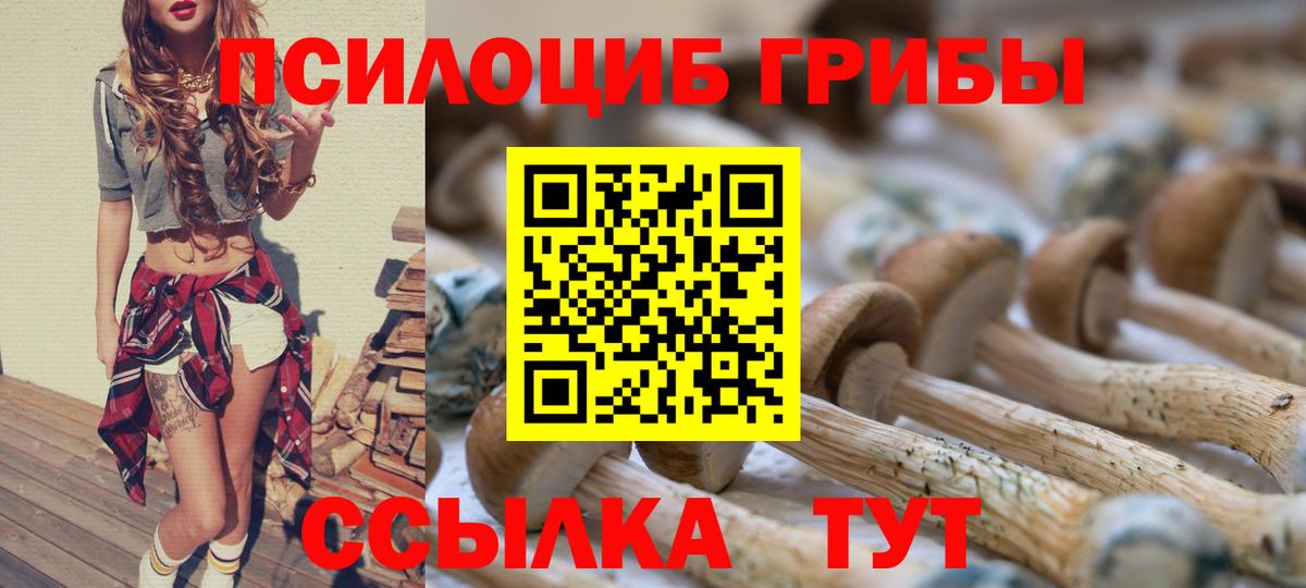 Балашиха  Псилоцибиновые грибы GOLDEN TEACHER  наркотики  Вход с VPN 